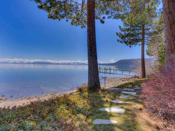 Lakeshore Boulevard Oasis