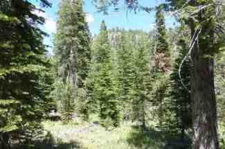 Rare 16.5 acres in Squaw Valley