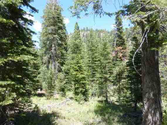 Rare 16.5 acres in Squaw Valley