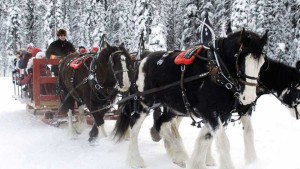 media_horse-sleigh-ride