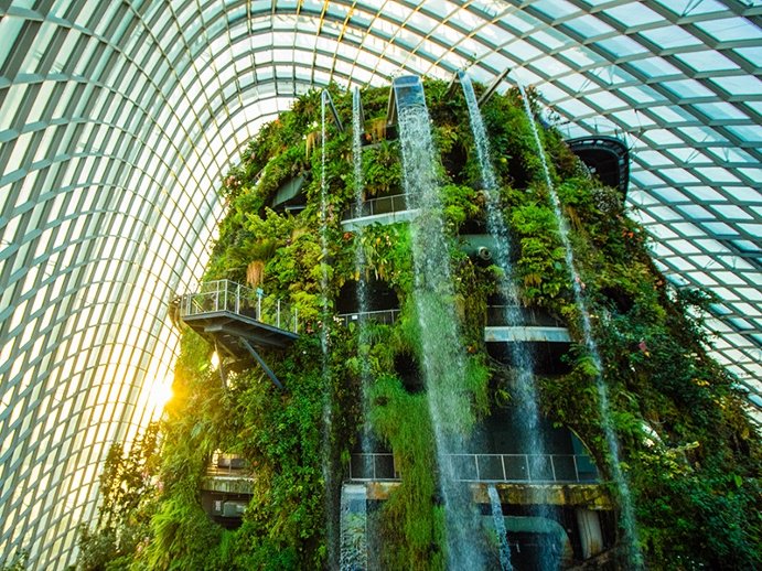 Global Greenhouses: The Cloud Forest in Singapore’s Gardens by the Bay Greenhouse