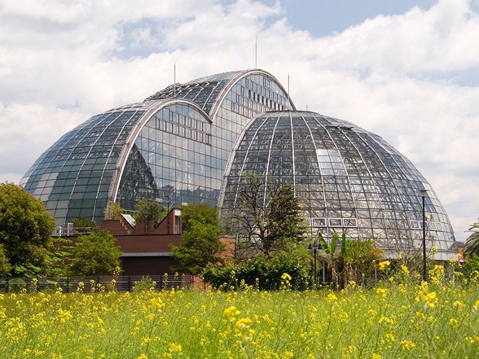 Global Greenhouses: Yumenoshima Island’s Tropical Greenhouse Dome—actually three domes—contain around 1,000 species of plants